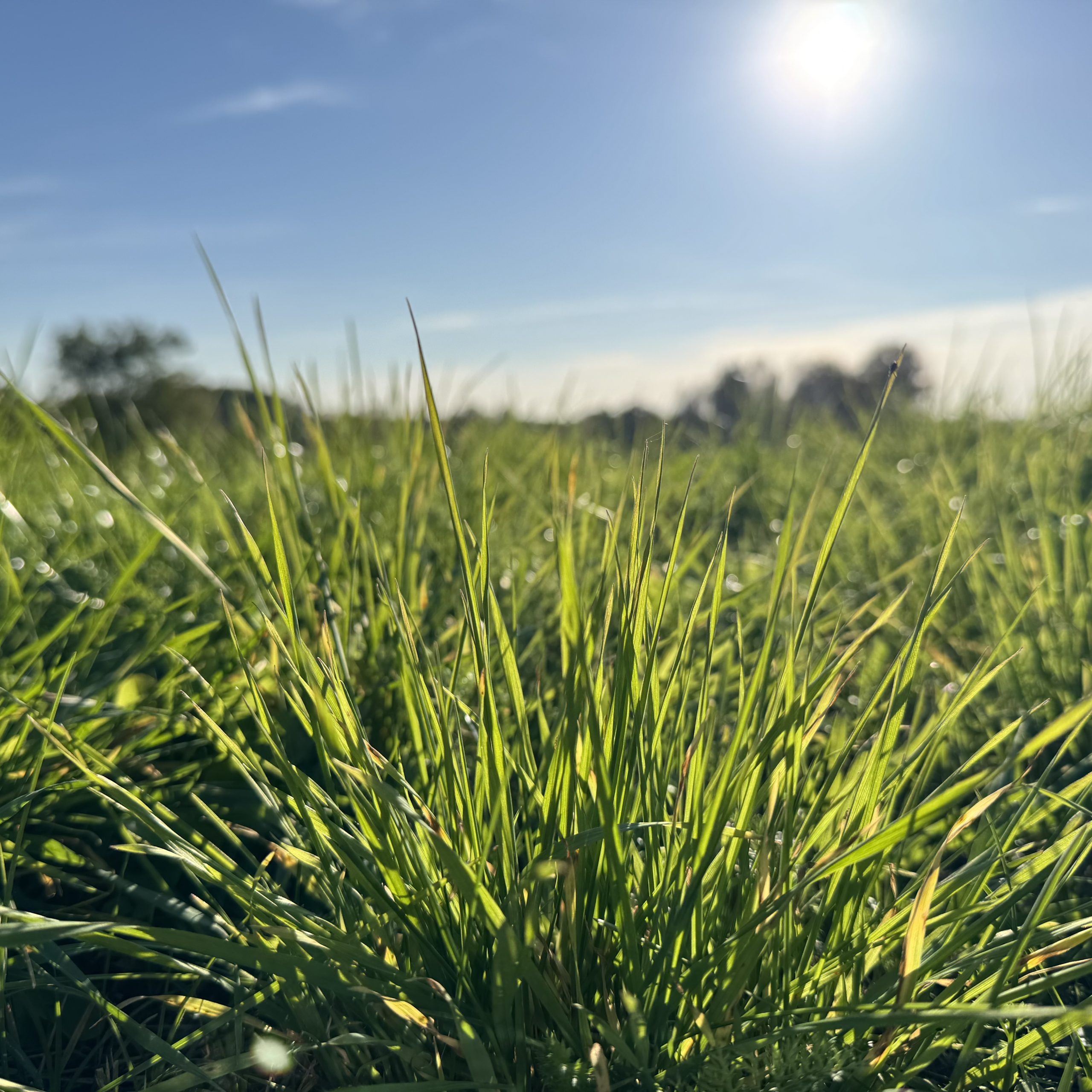 19 października 2024